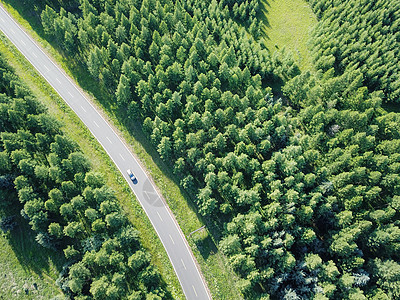 草坪树航拍乌兰布统森林公路背景