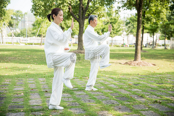 老年人太极锻炼图片