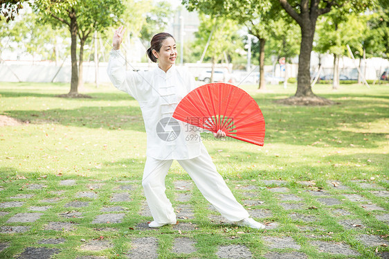 老年人锻炼太极扇图片