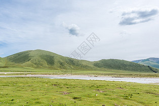 夏季青海草原风光图片