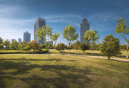 蓝天草坪城市绿地背景