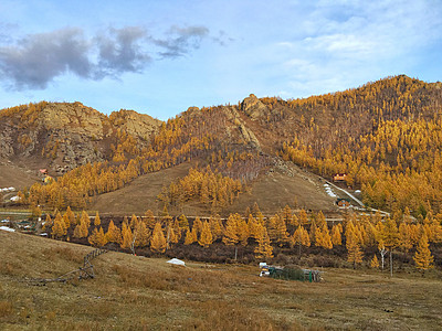 内蒙古莫尔道嘎国家森林公园秋色图片