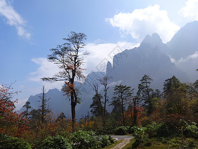 四川燕子沟风景十里仙境燕子沟背景