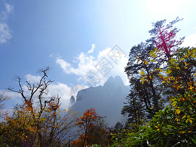 四川燕子沟风景十里仙境燕子沟背景