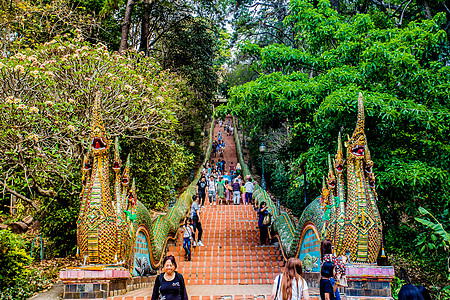 清迈双龙寺背景