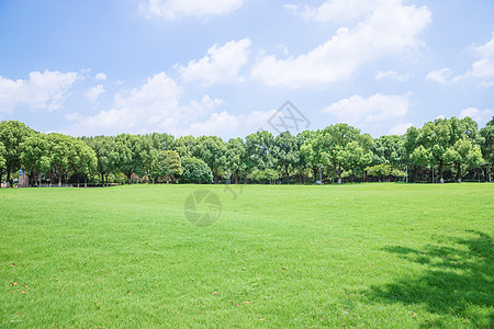 上海风景大学校园草地背景