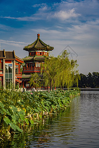 荷花船什刹海望海楼背景