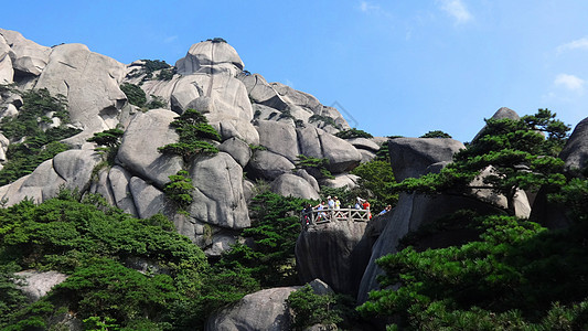 天柱山风光岩缝出青松图片