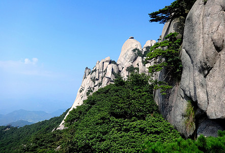 松树山水天柱山风光飞来峰背景