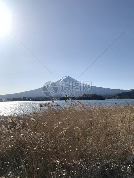 东京富士山图片