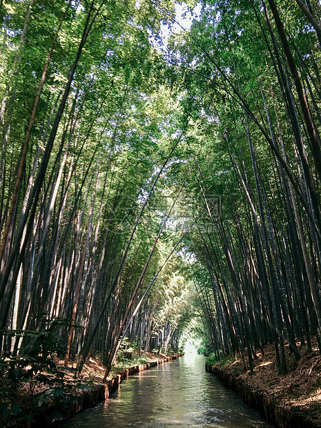 同里国家湿地公园图片