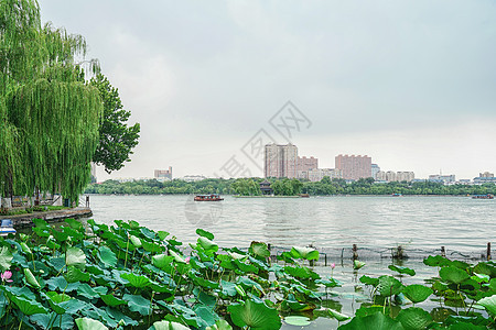 济南大明湖风景区背景图片