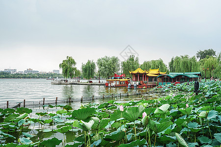 济南大明湖风景区背景