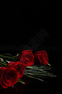 情人节玫瑰花背景图片