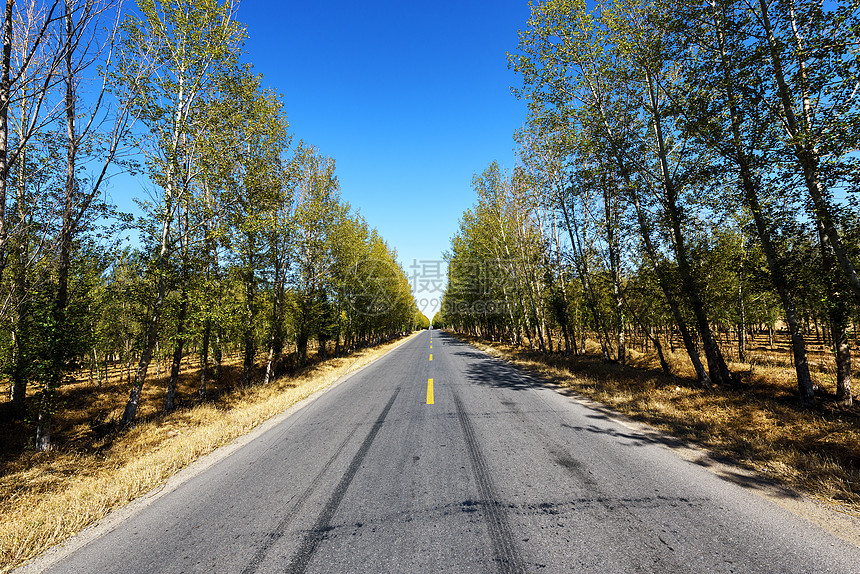 夏天的乡村公路图片