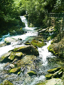 小溪戏水清泉小溪流水大自然背景