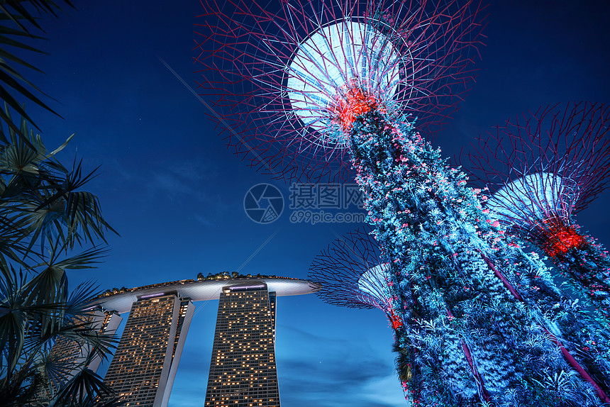 新加坡天空树景点图片