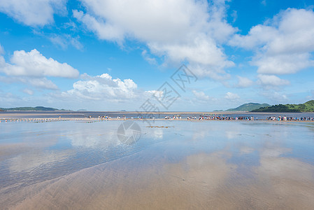 夏日海滨风光图片