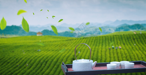 茶与健康茶山高清图片素材