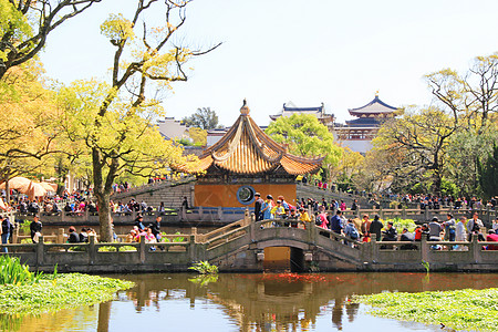 园林水池浙江舟山普陀山普济寺背景