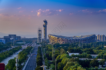 树林全景奥体中心鸟巢近景背景