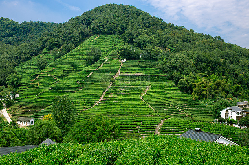 浙江杭州西湖龙井村图片