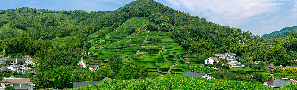 杭州西湖龙井村浙江省杭州市西湖龙井村全景图背景