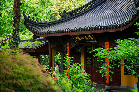 城市中的古建筑绿荫中的杭州灵隐寺寺庙背景