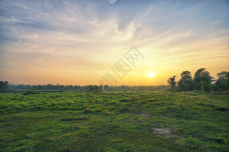 尼泊尔田野尼泊尔奇特旺国家公园夕阳风光背景