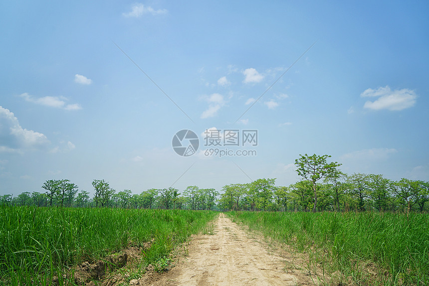 尼泊尔奇特旺国家公园热带雨林风光图片