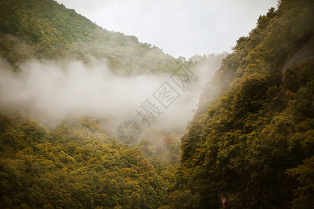 武夷山九龙瀑布风景区背景