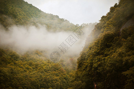 武夷山九龙瀑布风景区图片