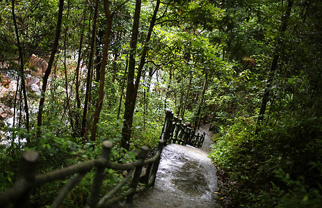 武夷山九龙瀑布风景区图片