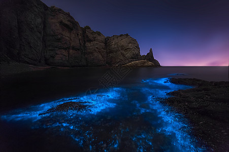 星空海边荧光海背景