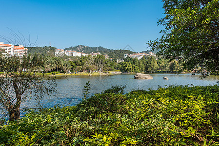 厦大芙蓉隧道厦门大学芙蓉湖背景