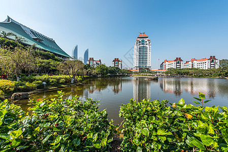 厦大芙蓉隧道厦门大学芙蓉湖背景