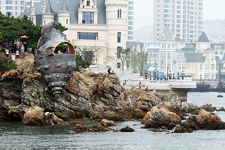 海浪海鸥大连老虎滩背景