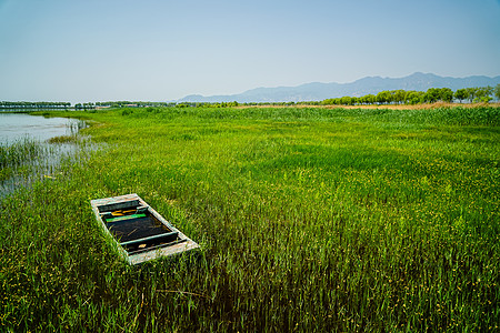 湿地公园北京野鸭湖国家公园景色背景