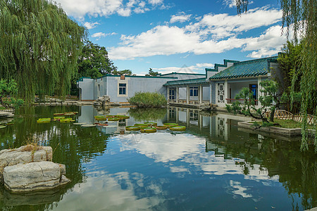 北京植物园景色背景