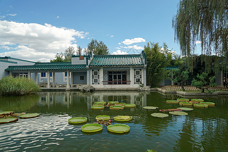 北京植物园景色高清图片