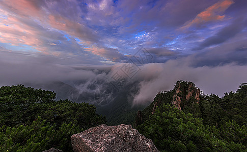 羊狮幕羊狮慕背景