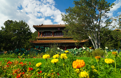 北京夏末初秋的景山公园背景