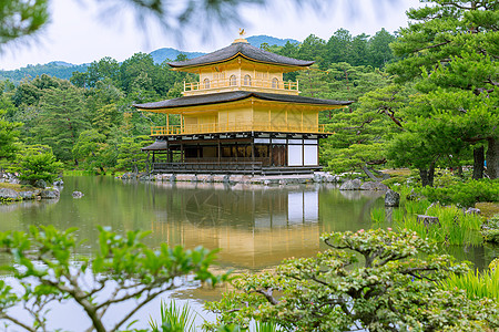 日本金阁寺文化旅游高清图片