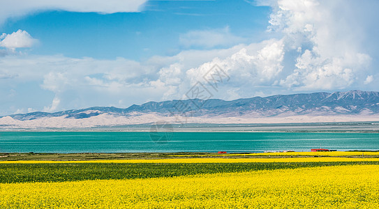 青海湖夏日风光青海湖风光背景