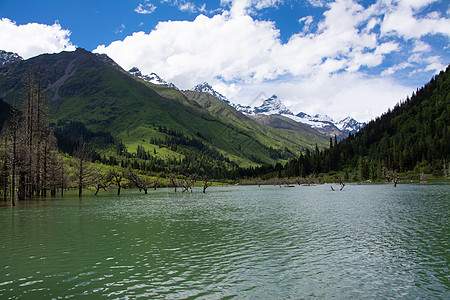 海子山四姑娘山海子沟背景