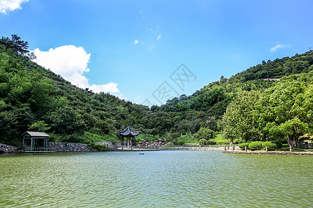 绿植海报浙江省宁波市慈城风光背景