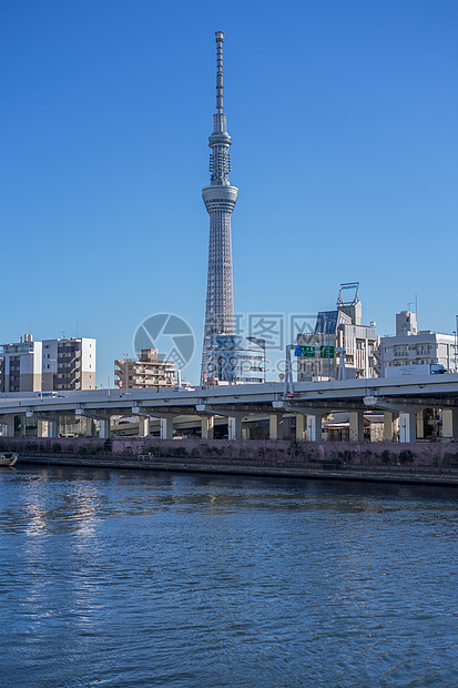 日本东京晴空塔图片