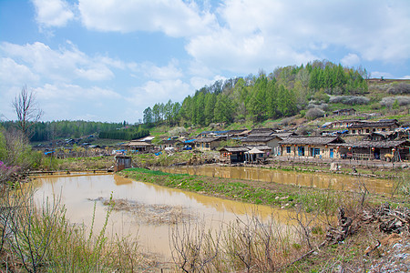 长白松吉林长白山下我国最后的木屋村落背景