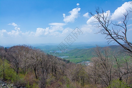 长白松吉林长白山下我国最后的木屋村落背景