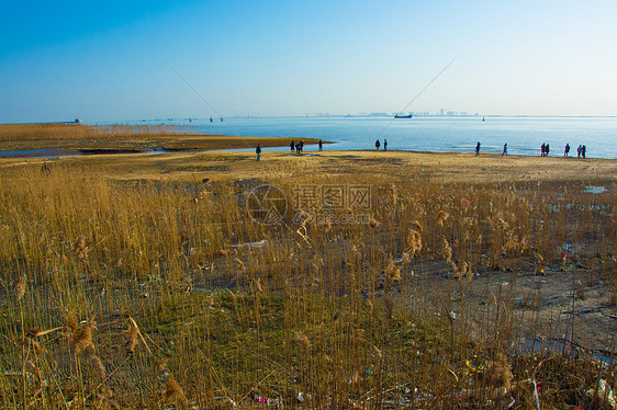 上海崇明西滩湿地公园